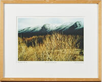 ROBIN MORRISON Willows Wairau Valley Marlborough