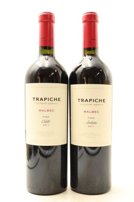 (2) 2011 Trapiche Terroir Series Finca Coletto, Tupungato, Argentina [WE93]