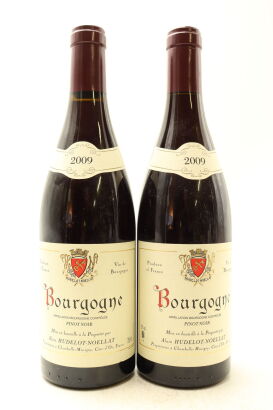 (2) 2009 Alain Hudelot-Noellat Bourgogne Rouge, Burgundy