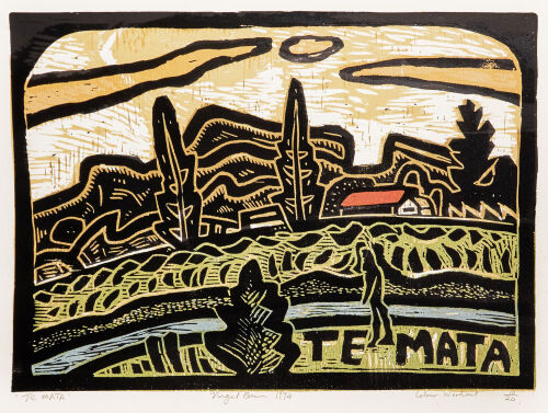 NIGEL BROWN Te Mata