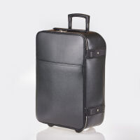 Louis Vuitton Taiga Pegase Suitcase 55