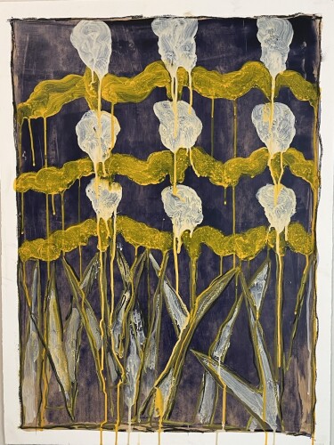 WAYNE PATE - Iris Bulbs No. 82