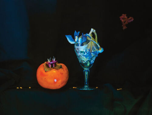 FIONA PARDINGTON Still Life with Persimmon, Pururi Flowers and Skull Glass