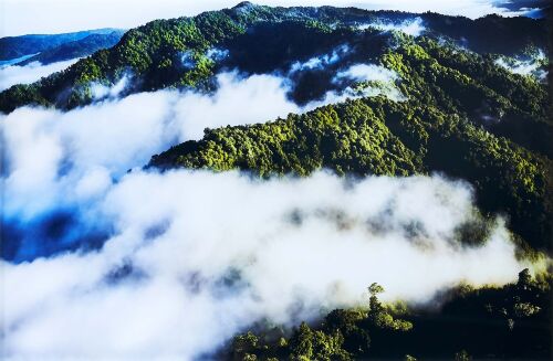 ISAAC JULIEN Ahu mai matou i te kohu / From the mist we come. From the 'True South' series