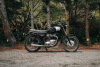 1964 Triumph Bonneville Special 650cc - 2