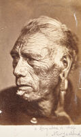 Unknown Photographer - A Rangitira or Chief of New Zealand