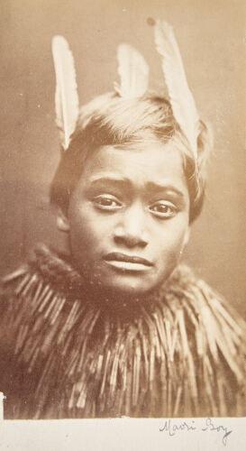 Unknown Photographer - A Maori Boy