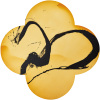 MAX GIMBLETT CAPE