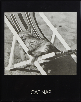 A Cat Nap Poster