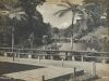 JA Austin - Pukekura Park, Taranaki C. 1930