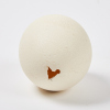 An Ostrich Egg - 2