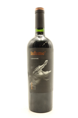 (1) 2016 Infame Reserva Carmenere, Cachapoal Valley