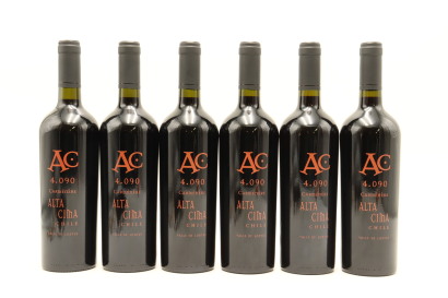 (6) 2016 Alta Cima 4.090 Reserva Carmenere, Lontue Valley