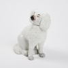 A Textured Antique Staffordshire Dog - 2