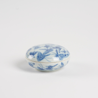 A Chinese Qing dynasty blue and white 'butterflies' box and cover