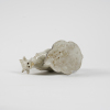 A Chinese Song dynasty Ding Kiln 'A shepherd boy riding cow' ornament - 3