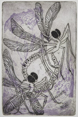 ARTIST UNKNOWN Dragonflies