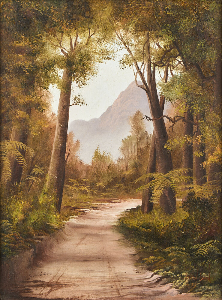 TIM WILSON Coromandel Bush Road