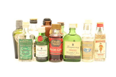 (1) Gin Miniatures, 13x Bottles Sold as One Lot