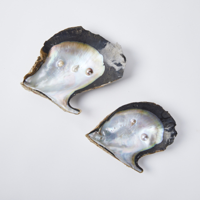 A Pair Of Large Oyster Shells