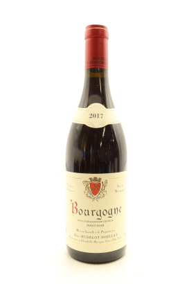 (1) 2017 Alain Hudelot-Noellat Bourgogne Rouge, Burgundy