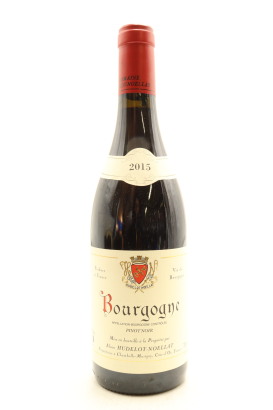 (1) 2015 Alain Hudelot-Noellat Bourgogne Rouge, Burgundy