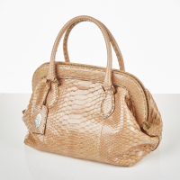 Fendi Selleria Python Doctor Frame Bag