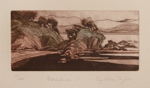 CYNTHIA TAYLOR Headland I