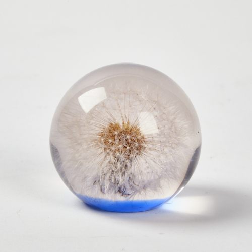 A Dandelion In Resin Paperweight