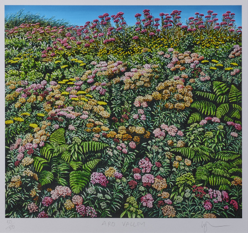 KARL MAUGHAN Aro Valley