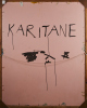 WAYNE SEYB Karatare - 2