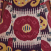 A Framed Ikat Robe, Uzbekistan - 2