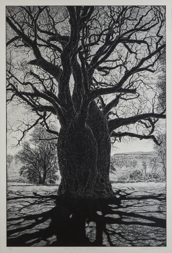RACHEL NEWLING Baobab Tree Near Wyndham