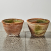 A Pair Of Large Patterned Terracotta Planters
