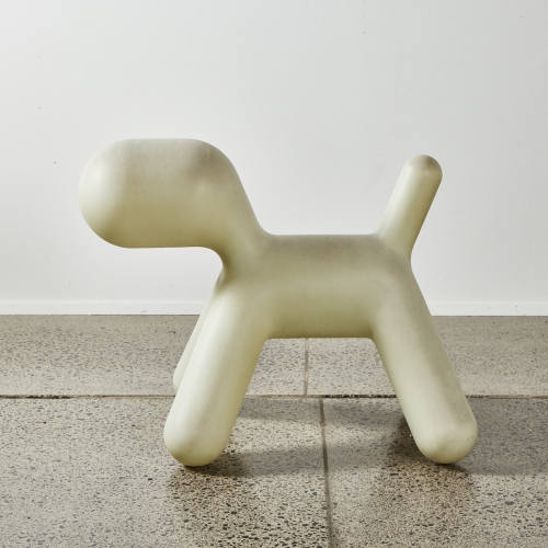 A Magis Puppy