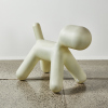 A Magis Puppy - 2