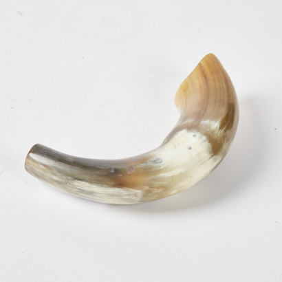 A Decorative Polished Horn