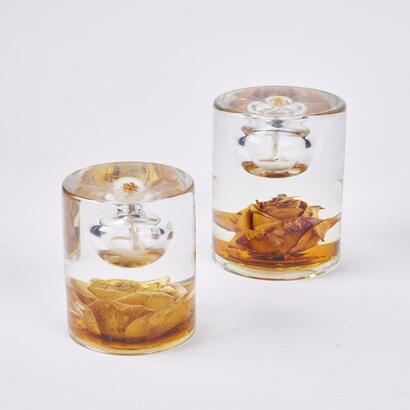 A Pair Of French Made Resin Encased Floral Oil Lamps