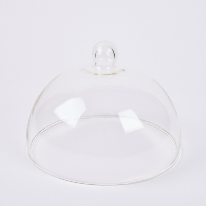 A Glass Cheese Dome