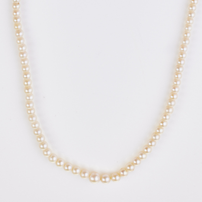 Attributed to Vintage, 40cm Pearl Necklace, (Attributed to Mikimoto), with Box