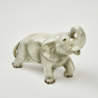 An Aquila Elephant