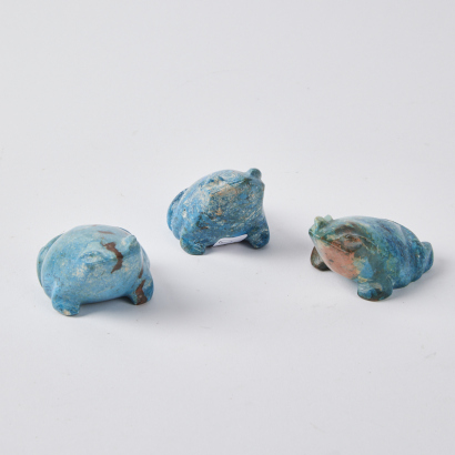 A Trio of Blue Coloured Frogs
