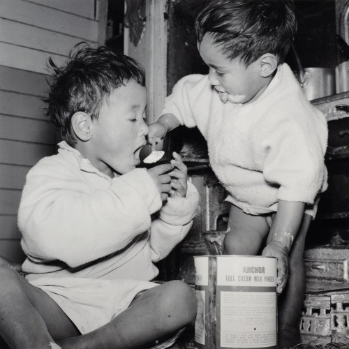 ANS WESTRA Ruatoria (Kids Eating Milk Powder)