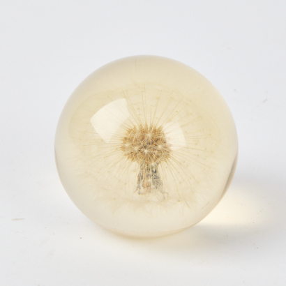 A Jasap Design NZ Made Dandelion Paperweight