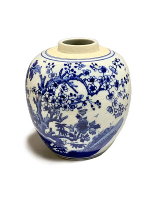 A Chinese Qing Dynasty Blue and White Jar