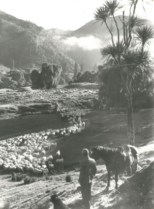 Associated Press Archival Photograph - A Rural Scene