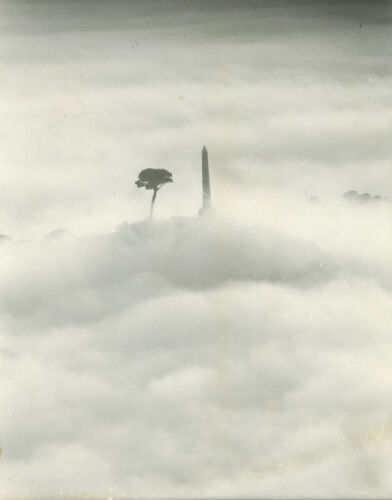 Associated Press Archival Photograph - One Tree Hill, Auckland&nbsp;