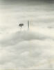 Associated Press Archival Photograph - One Tree Hill, Auckland&nbsp;