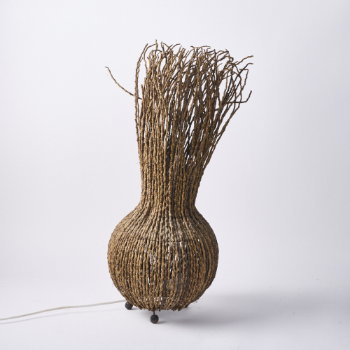 A Handmade Organic Dried Twig Lamp