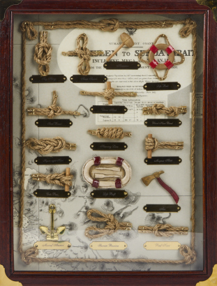 A Nautical Themed Collection In a Rosewood Hanging Display Case